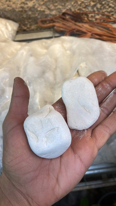 حجر ابيض ثلجي