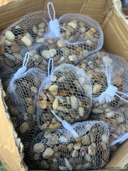 حجز زينة صغير