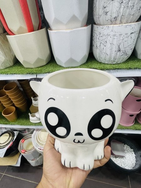 بورسلان قطة