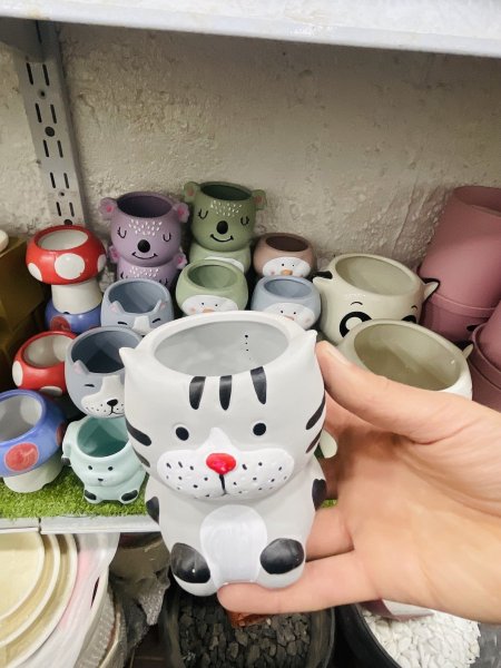 اشكال حيوانات