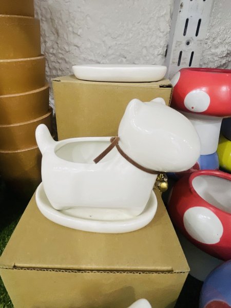 قوار كلب مع صحن