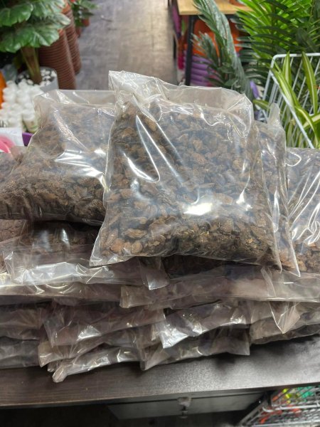 تربة اوركيد