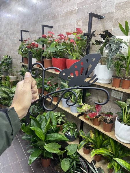 ستاند لتعليق القواوير