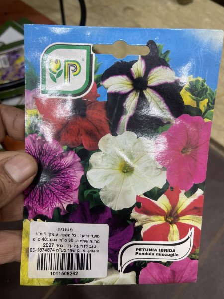 بذور بيتونيا