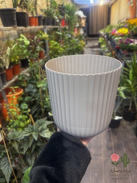 قوار تركي مدور