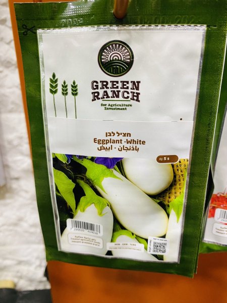 باذنجان أببض