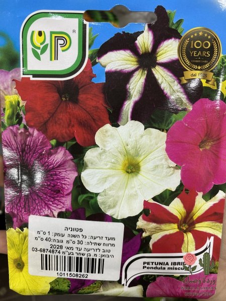 PETUNIA (بيتونيا)