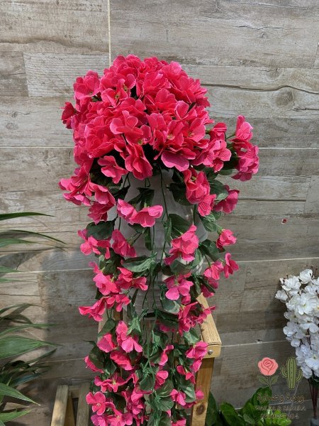 فوشي