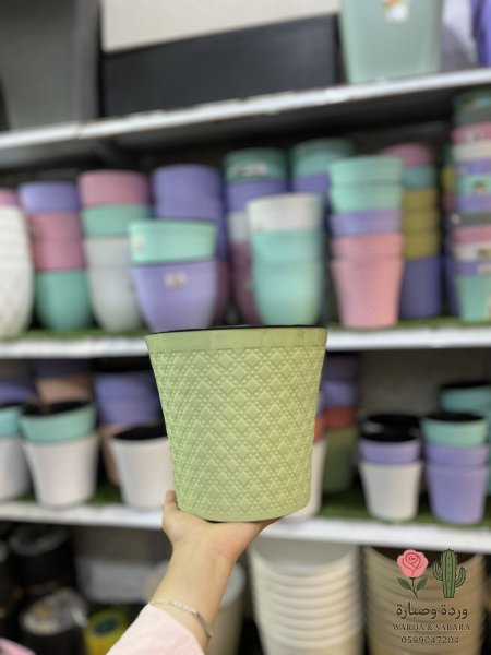 أخضر
