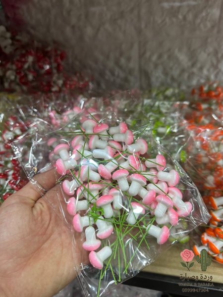 زهر فاتح