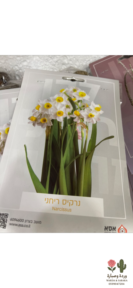 ابيض مكس اصفر