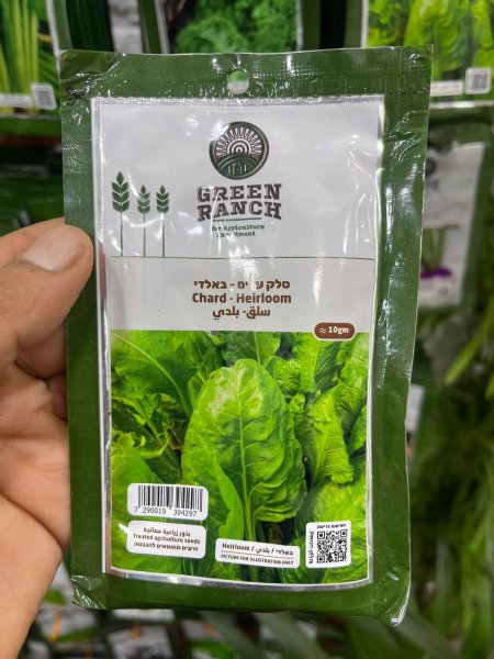 بذور سلق بلدي