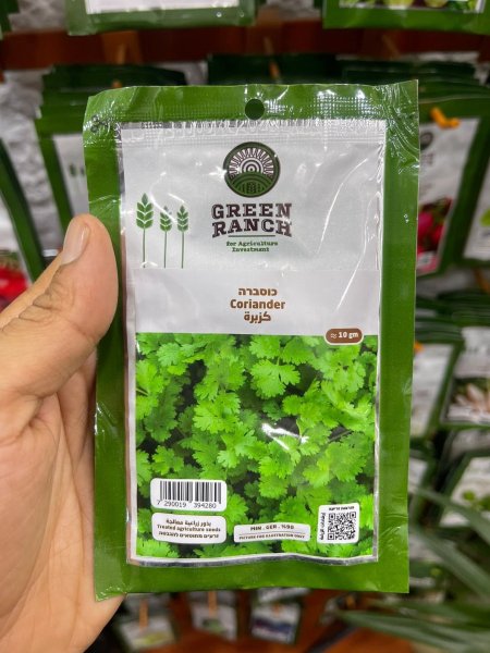 بذور كزبرة