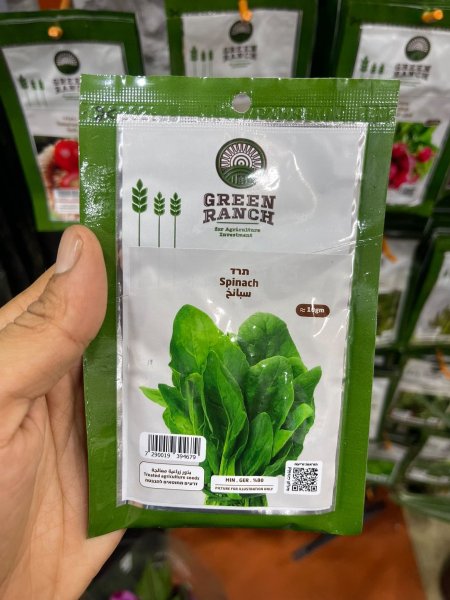 بذور سبانخ