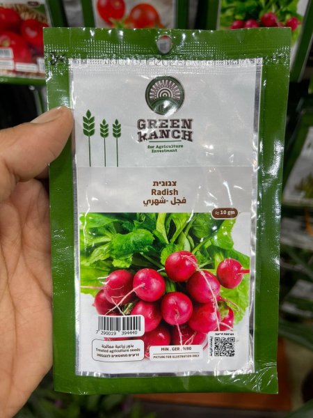 فجل شهري