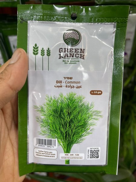 بذور عين جرادة-شبث