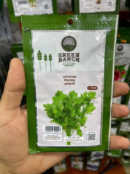 بذور بقدونس