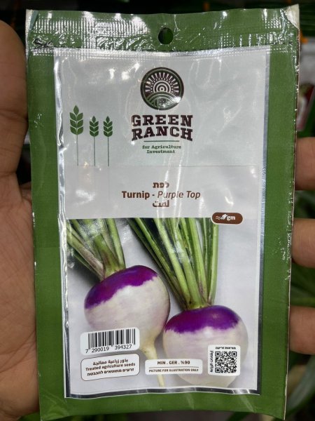 بذور لفت