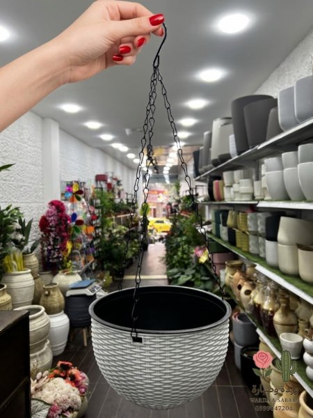 ابيض
