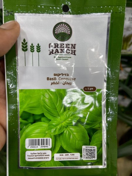 بذور ريحان اخضر