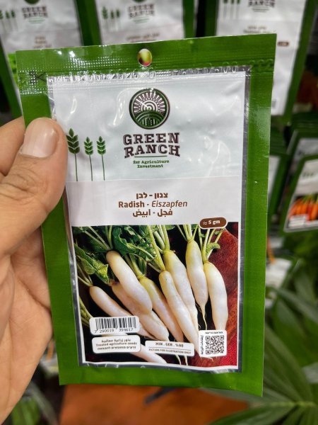بذور فجل ابيض