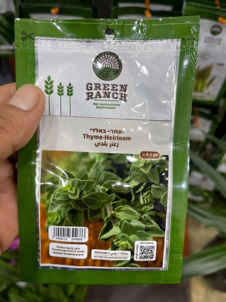 بذور زعتر بلدي