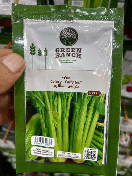 بذور كرفس
