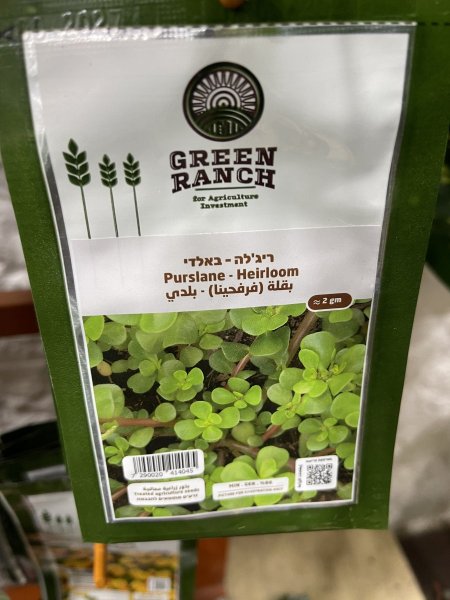 بقلة - فرفحينا