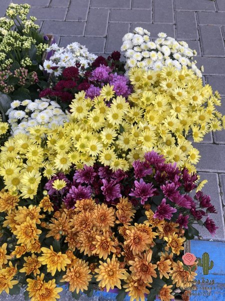 برتقالي غامق