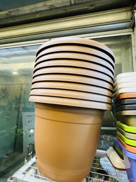 مدور مع صحن كبير